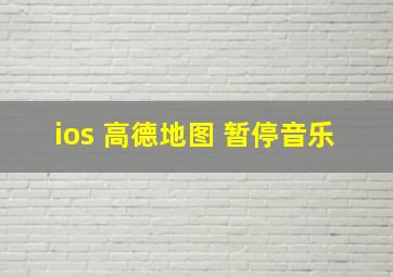 ios 高德地图 暂停音乐